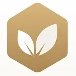 The Minte discount code